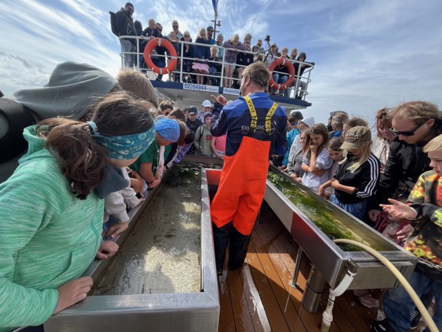 ameland3