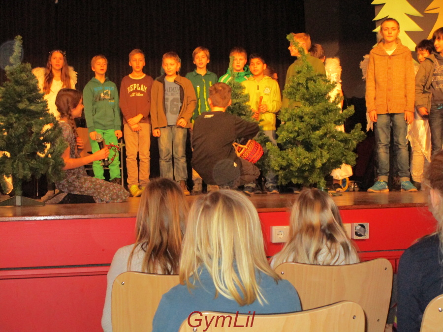 Konzert fuer Gundschulen 2015  03