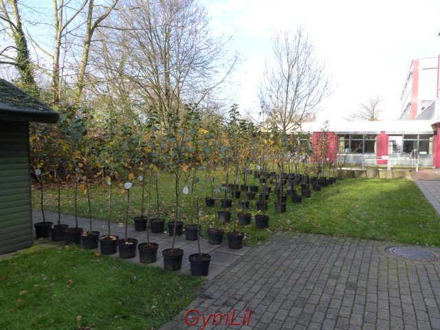 Uebergabe_Apfelbaum_2015_01