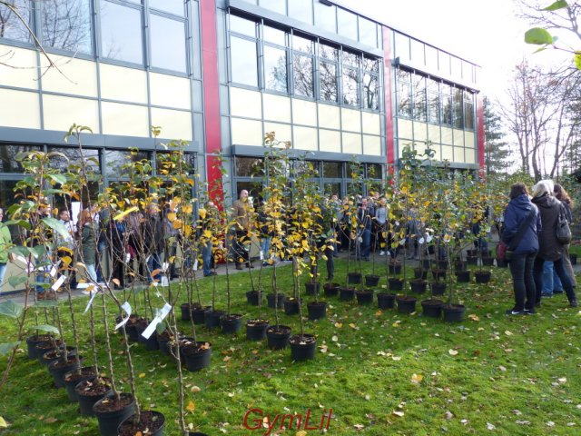 Uebergabe_Apfelbaum_2015_05