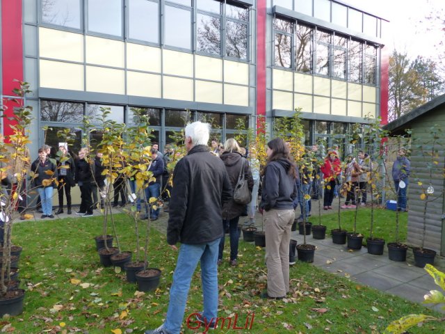 Uebergabe_Apfelbaum_2015_06