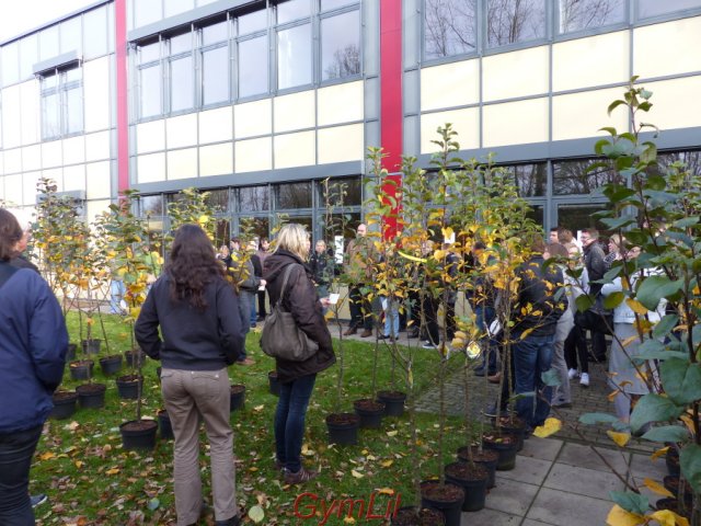 Uebergabe_Apfelbaum_2015_07