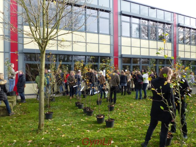 Uebergabe_Apfelbaum_2015_11