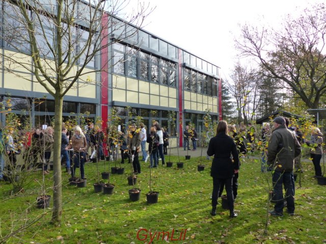 Uebergabe_Apfelbaum_2015_12