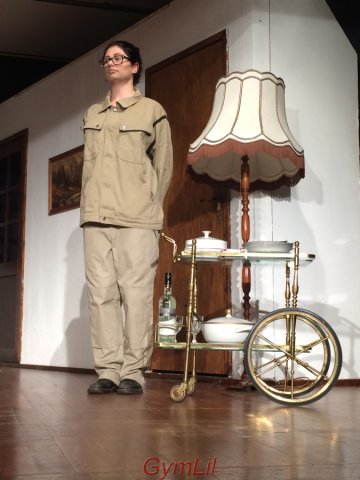 Die_Physiker_2017_15