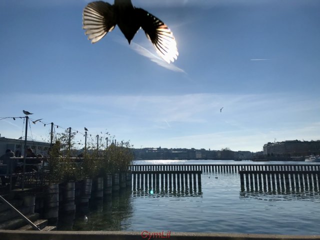 Bilder_Schweiz_Austausch_31