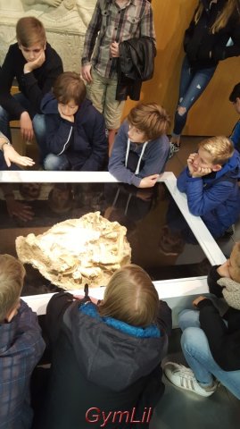 Varusschlacht_2018_10