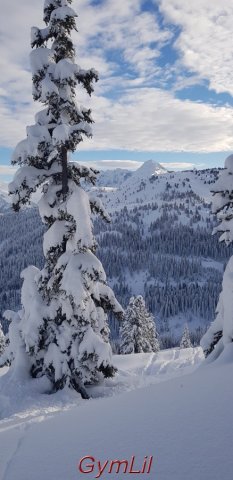 Skibilder_2018_36