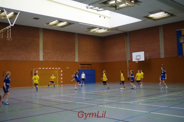 Handball Kreisentscheid 2014