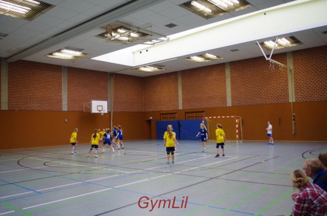 Handball Kreisentscheid 2014