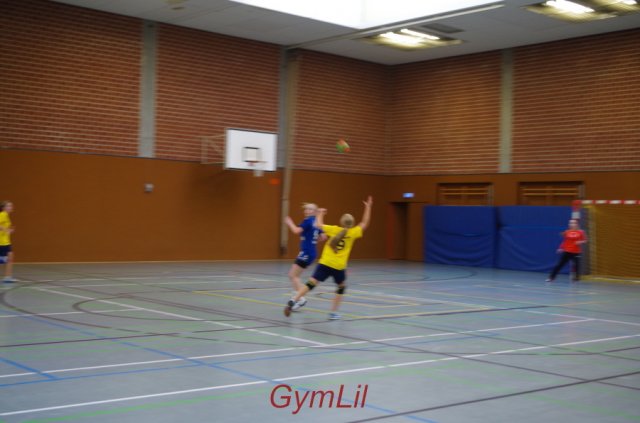 Handball Kreisentscheid 2014