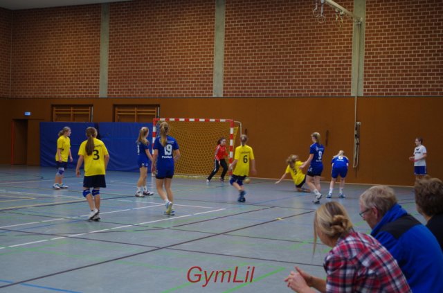 Handball Kreisentscheid 2014
