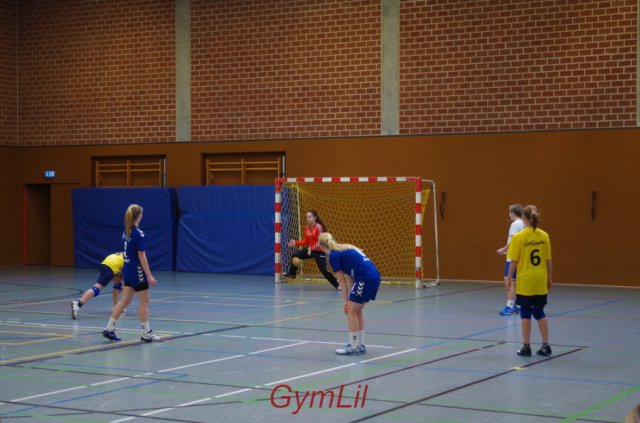 Handball Kreisentscheid 2014
