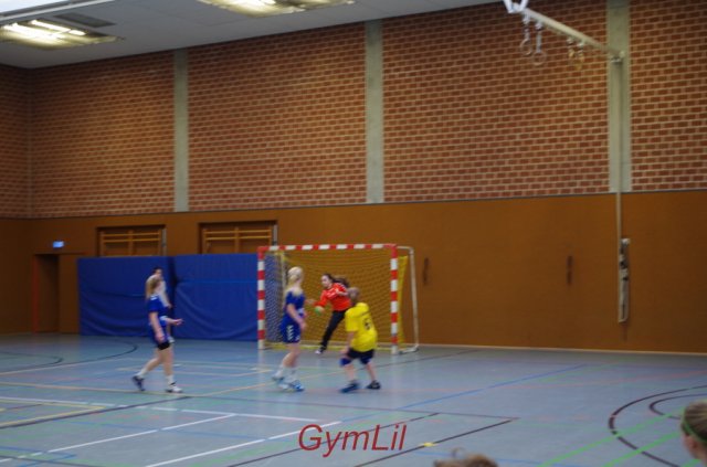 Handball Kreisentscheid 2014