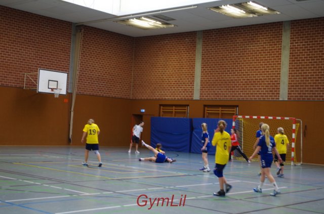 Handball Kreisentscheid 2014