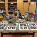 Schnuppertag_2025_23