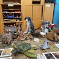 Schnuppertag_2025_24