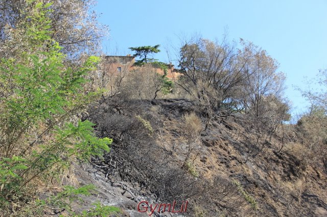 IrisBunzendahl_Trockenheit_Toscana_2