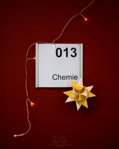 Weihnachtsfeier_17-1